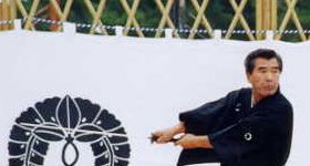Sei Shin Kan Martial Arts logo