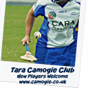 Tara Camogie Club logo