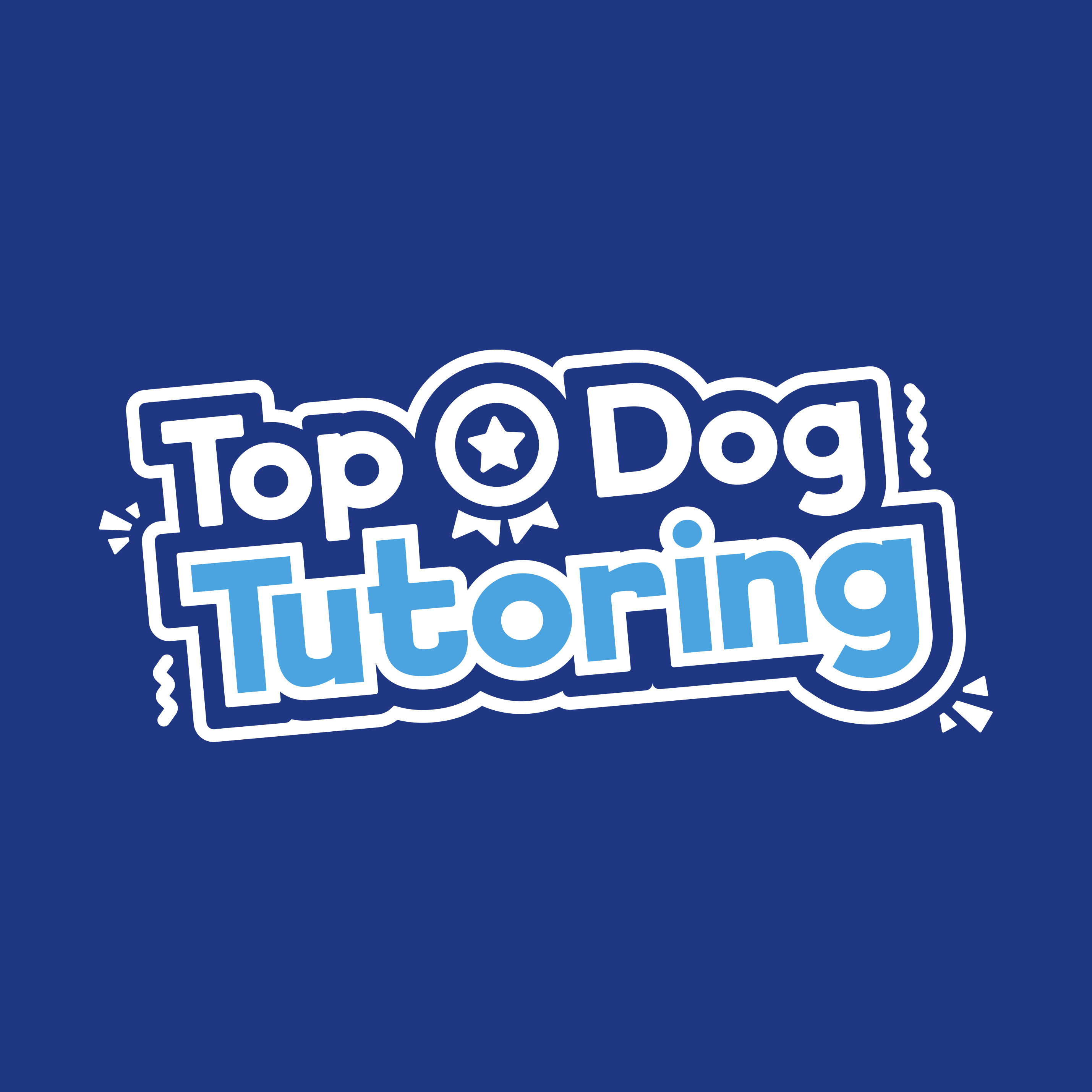 Top Dog Tutoring