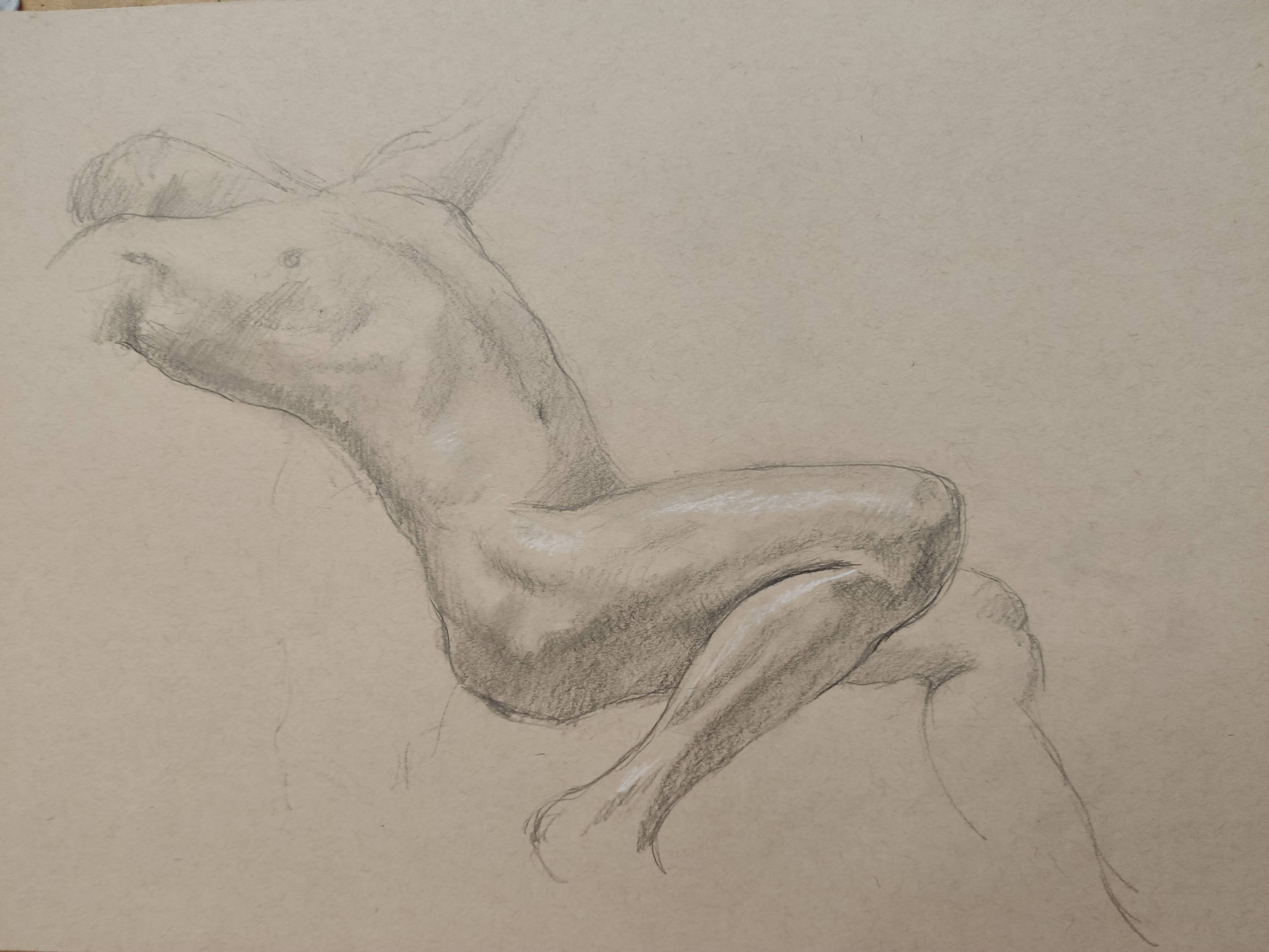 Life Drawing Wales