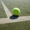 Linkside Lawn Tennis Club logo