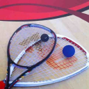 Devon & Exeter Squash Club logo