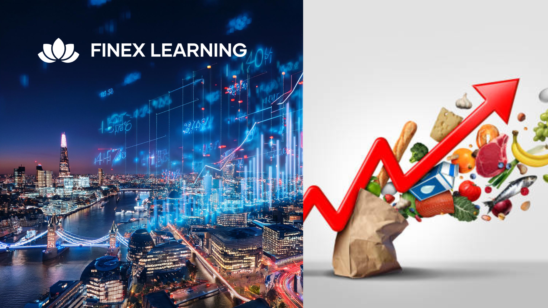 Inflation Derivatives & Index Linked Bonds