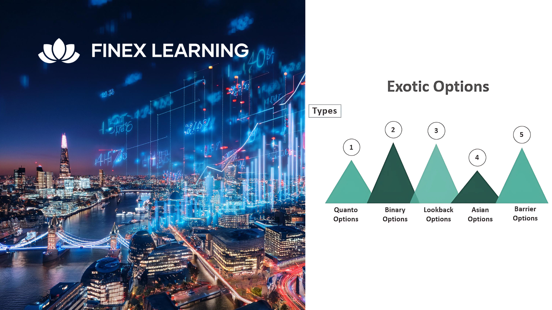 Exotic Options - Taxonomy, Barriers, and Baskets