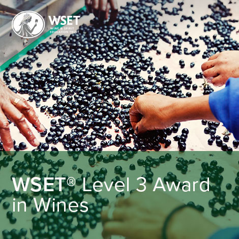 WSET Level 3 Award in Wines