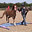 Garry Bosworth Intelligent Horsemanship Recommended Trainer logo