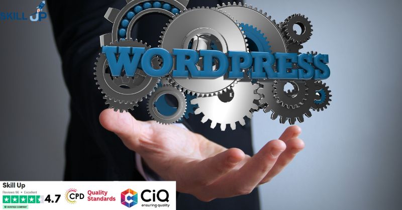 WordPress & Web Design Training - CPD Certified
