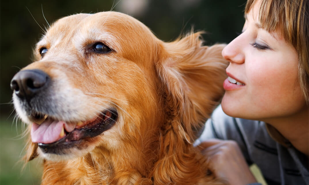 Animal Care: Dog Whispering and Pet Nutrition