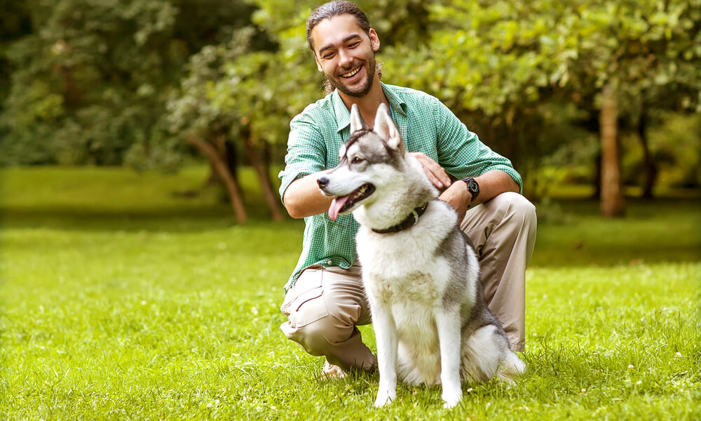 Natural Remedies for Health & Dog Training