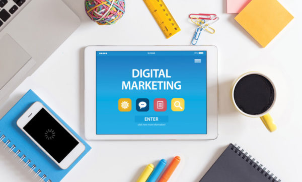 Professional Digital Marketer Course Bundle - 4 Courses