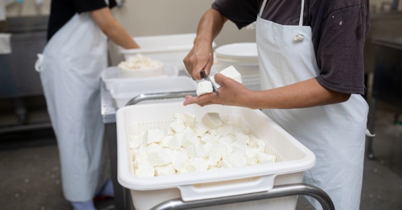 Cheese Making Course