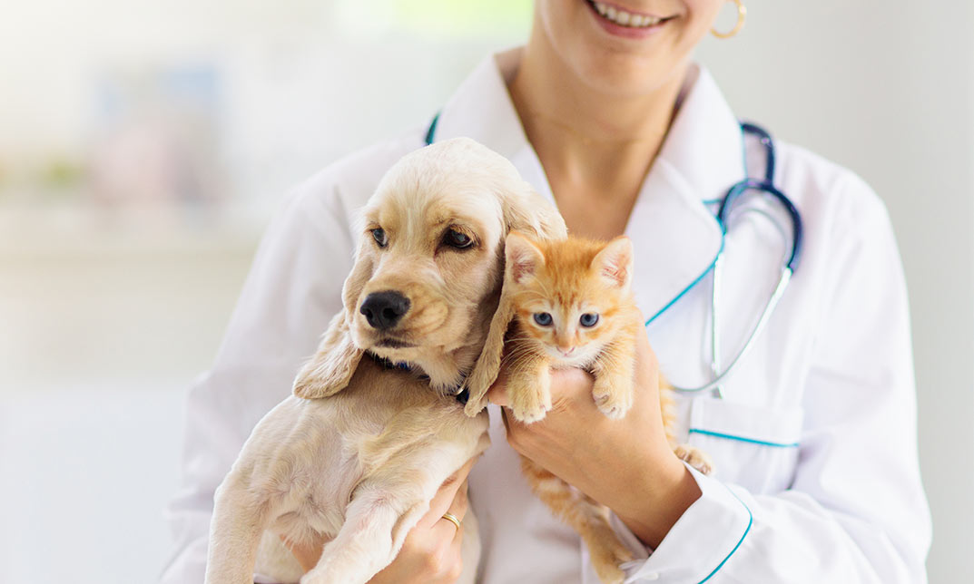 Zoology & Animal Health Care Course Online