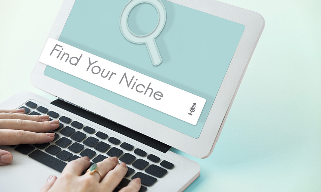 Finding Most Profitable Niche