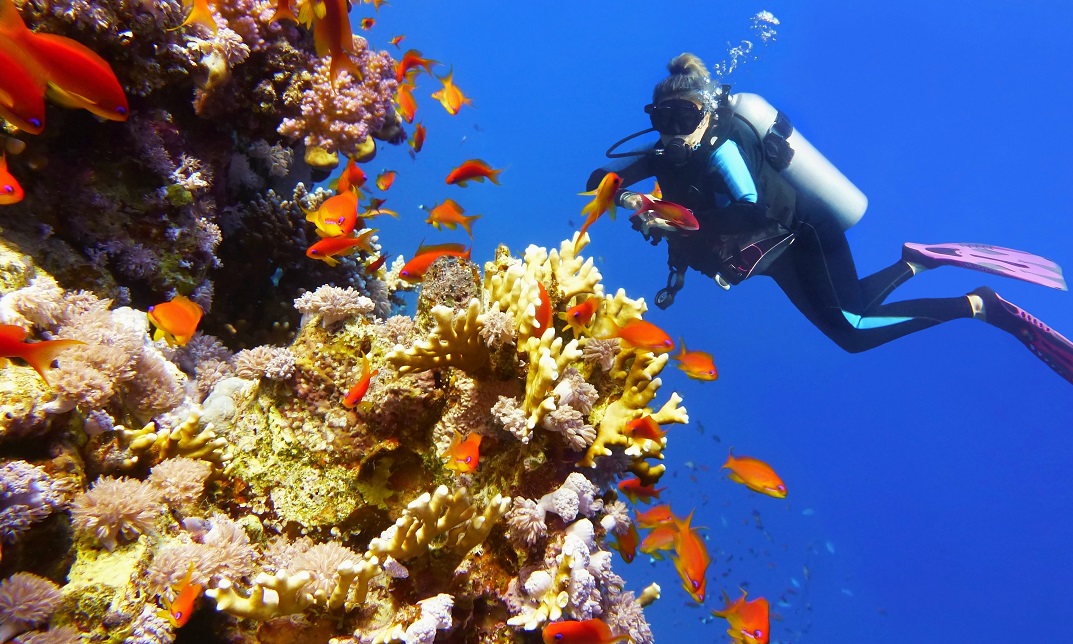 Marine Biology Course