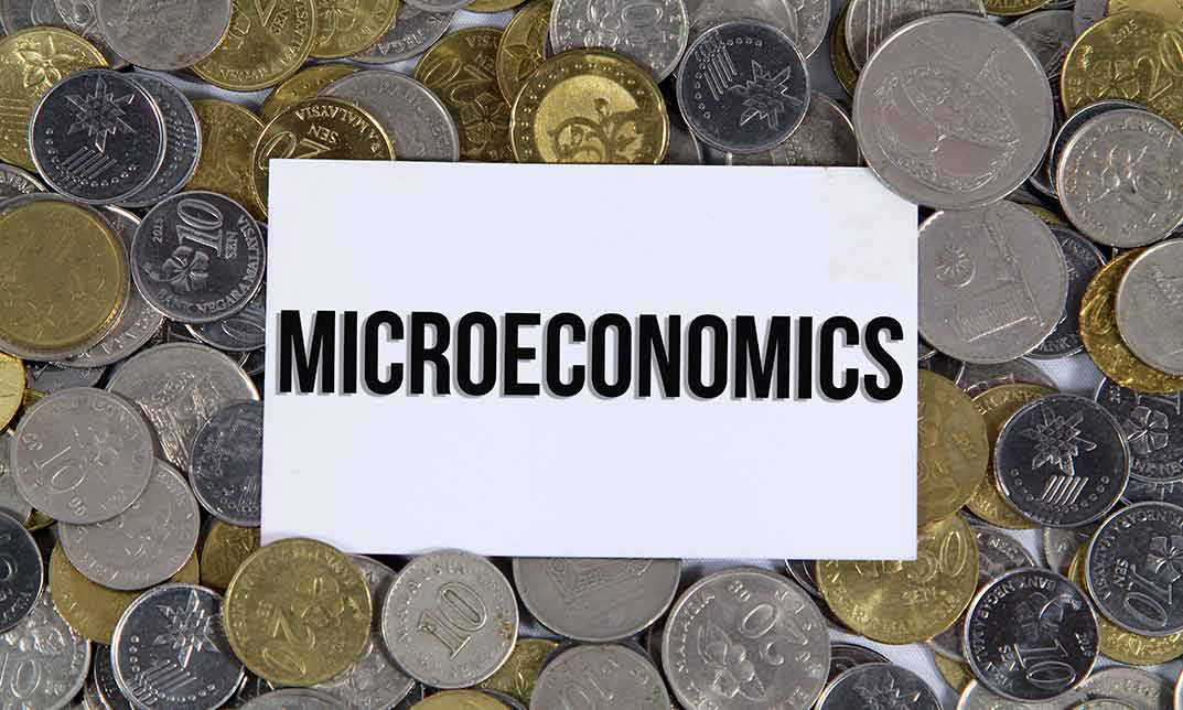 Microeconomics Basics