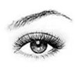 Lash & Brow Shaping and Tinting 
