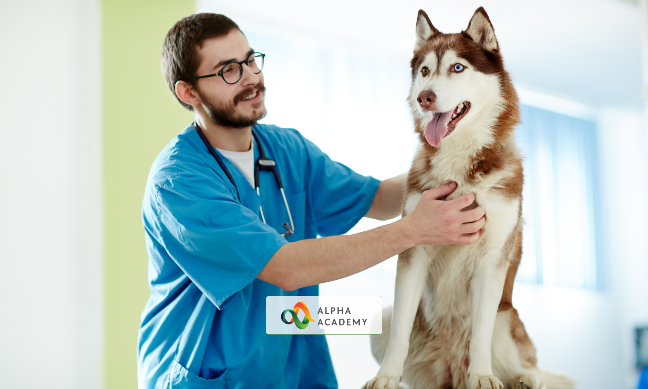 Complete Pet Care Online Course