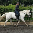 Redbrook Equestrian logo