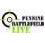 Battlefield Live Pennine logo