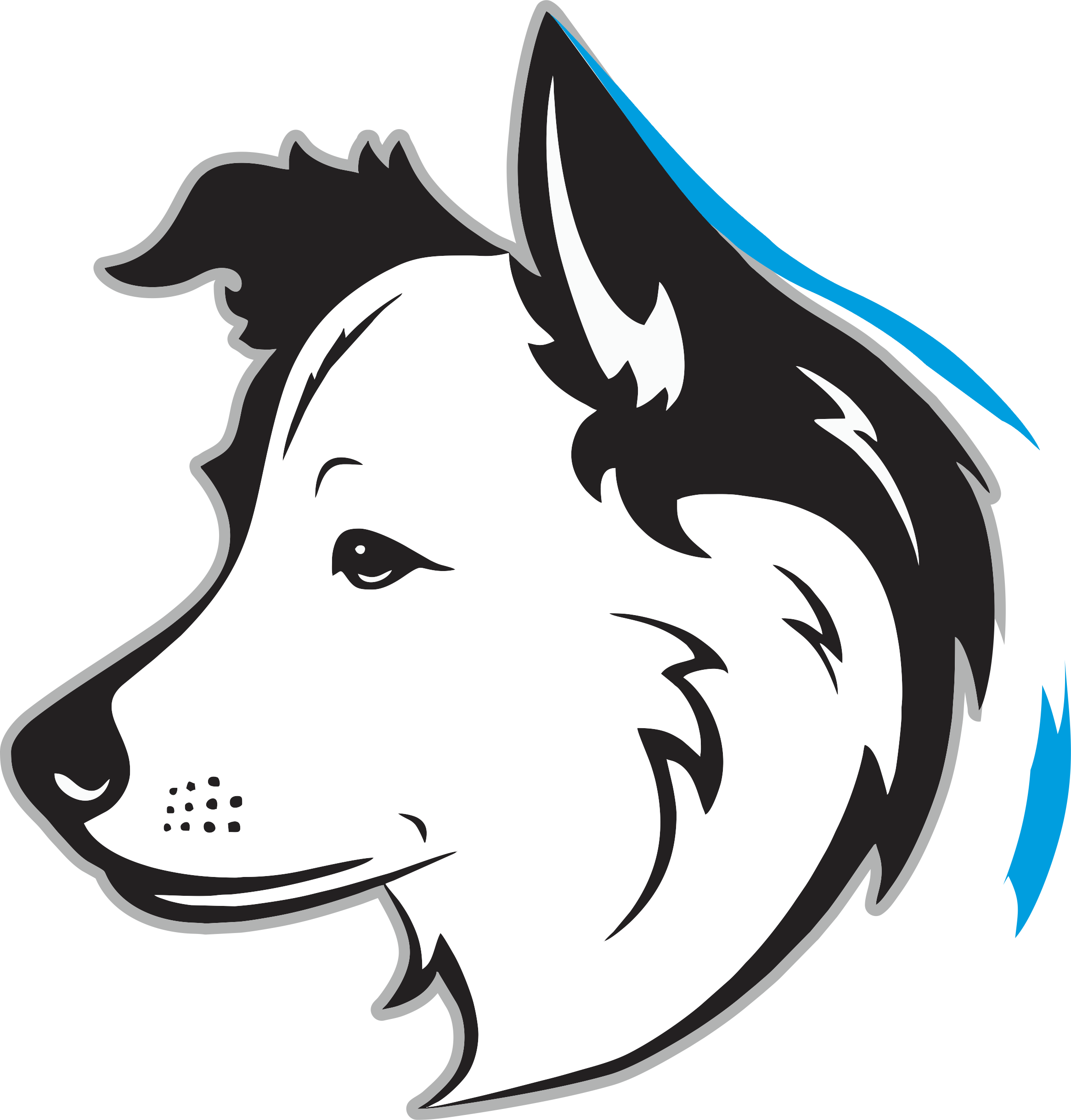 Pawfect Pack Dog Training logo