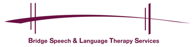 Bridge Slt logo