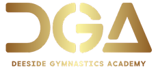 Deeside Gymnastics Academy logo