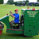 West Ilsley Cricket Club logo