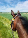 Scallywag Riding Club logo