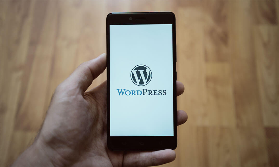 WordPress for Beginners