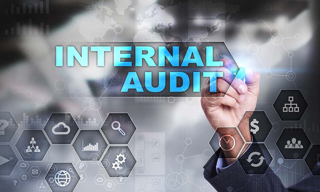 Internal Audit Skill Part - 2