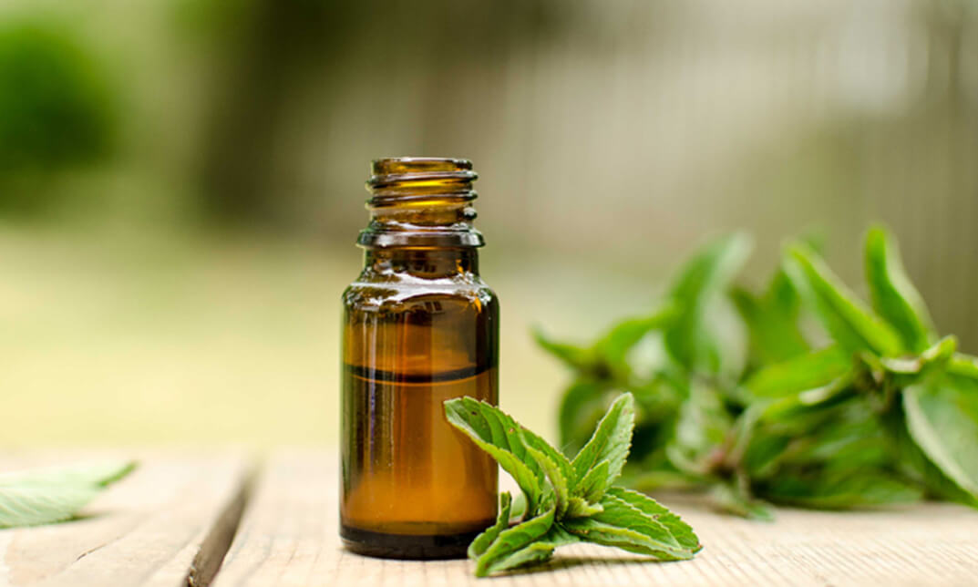 Natural Therapies: Aromatherapy and Essential Oils for Beginners