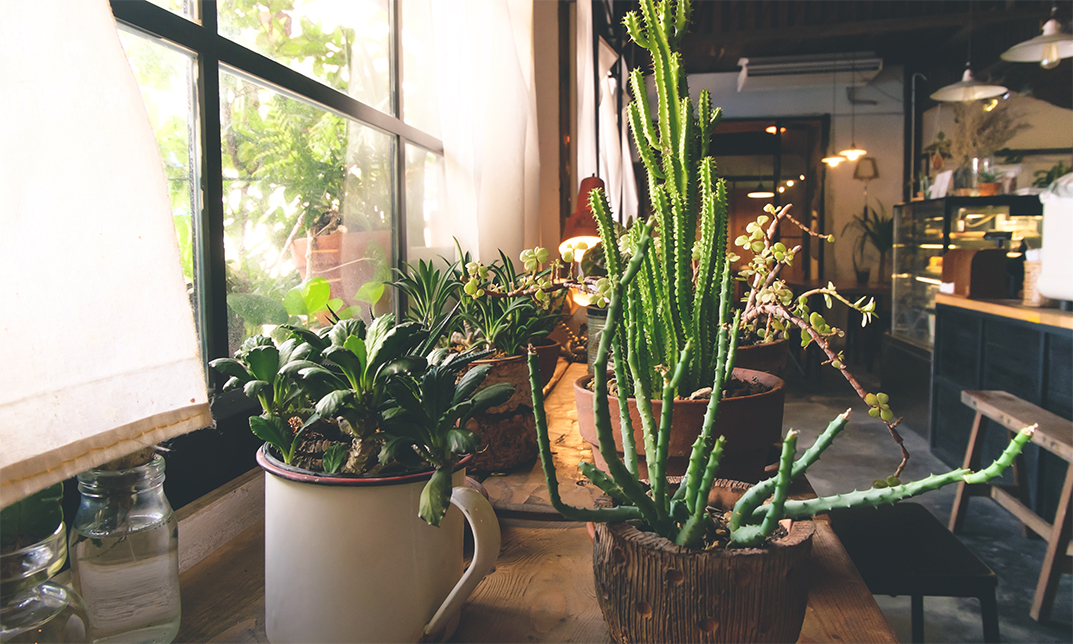 Pot Planting Training