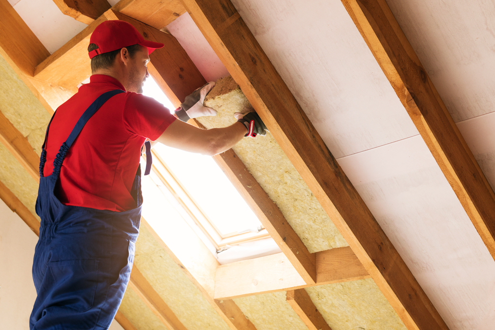 NVQ DIPLOMA IN INSULATION AND BUILDING TREATMENTS (CONSTRUCTION)