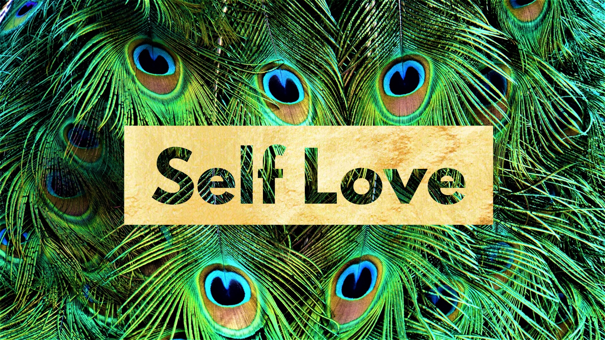 Self LOVE Workshop