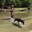 White Paw Dog Walking And Training Services logo