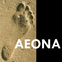 Aeona logo