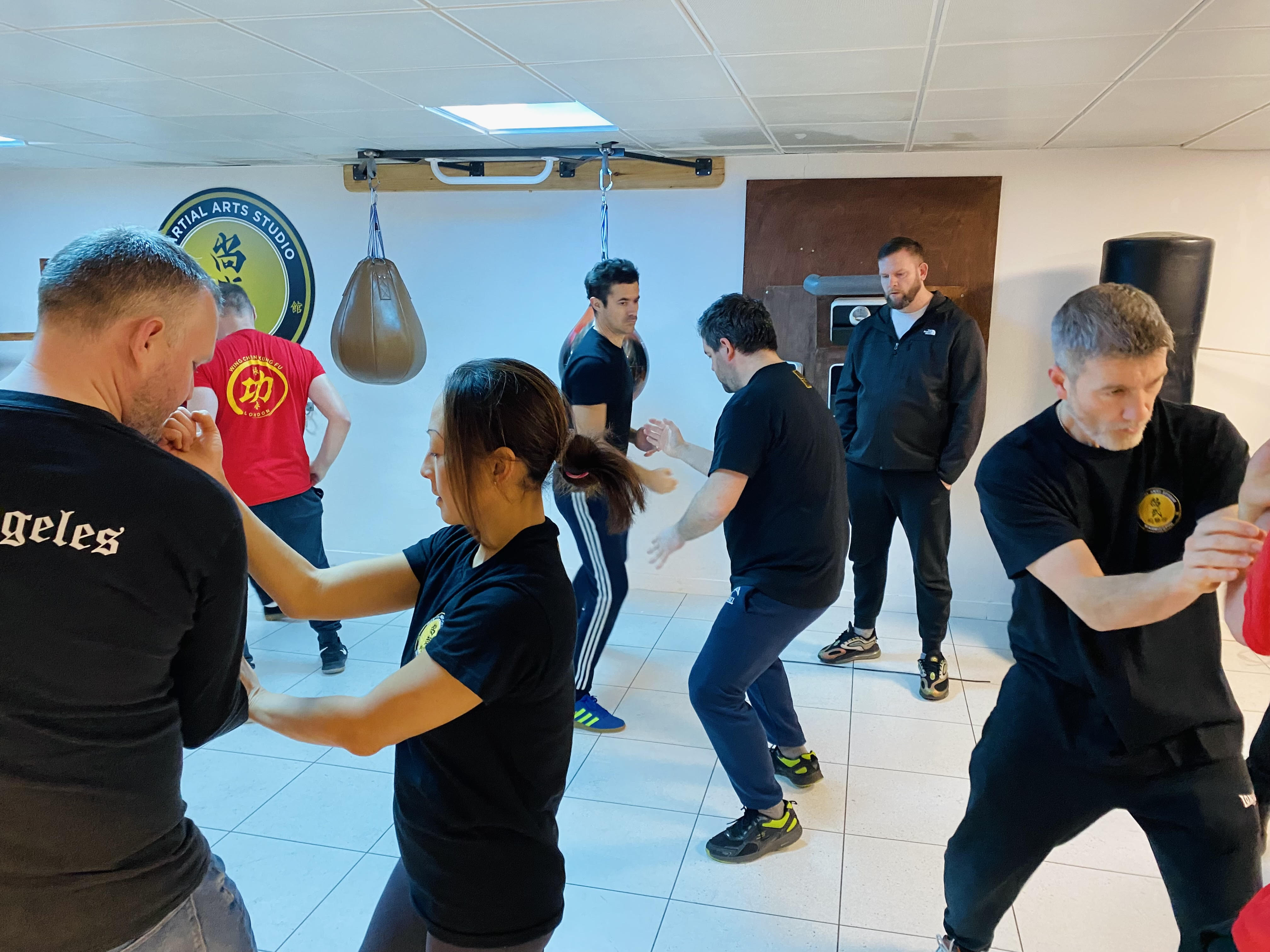 Wing Chun Beginners Course 