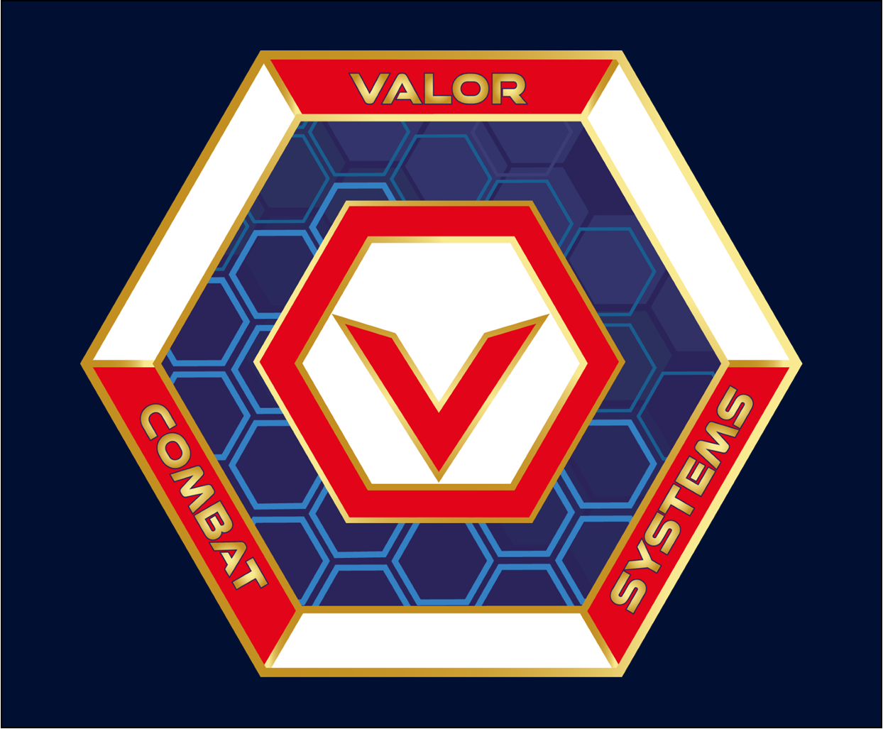 Valor Combat Systems Martial Arts Academy logo