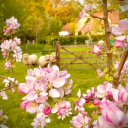 Hazelbank Farm logo