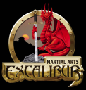 Excalibur Martial Arts & Junior Dragons Taekwondo Bridgnorth logo