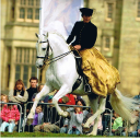 Carreg Dressage logo