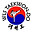 Wls Taekwondo logo