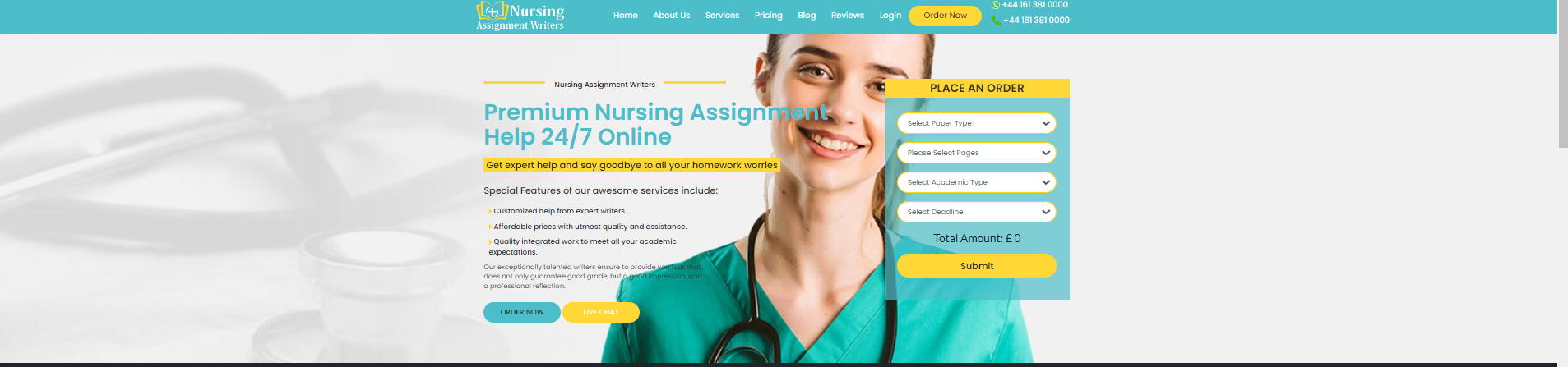 nursing assignment writers