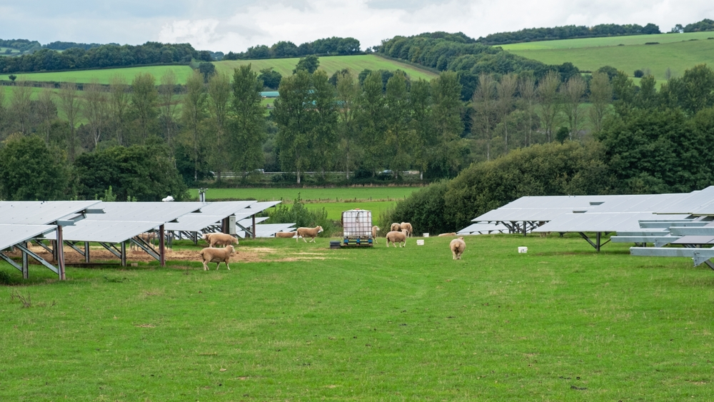 Sustainable Agriculture in the UK