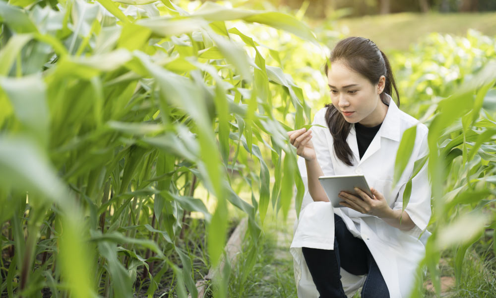 Plant Pathology Course