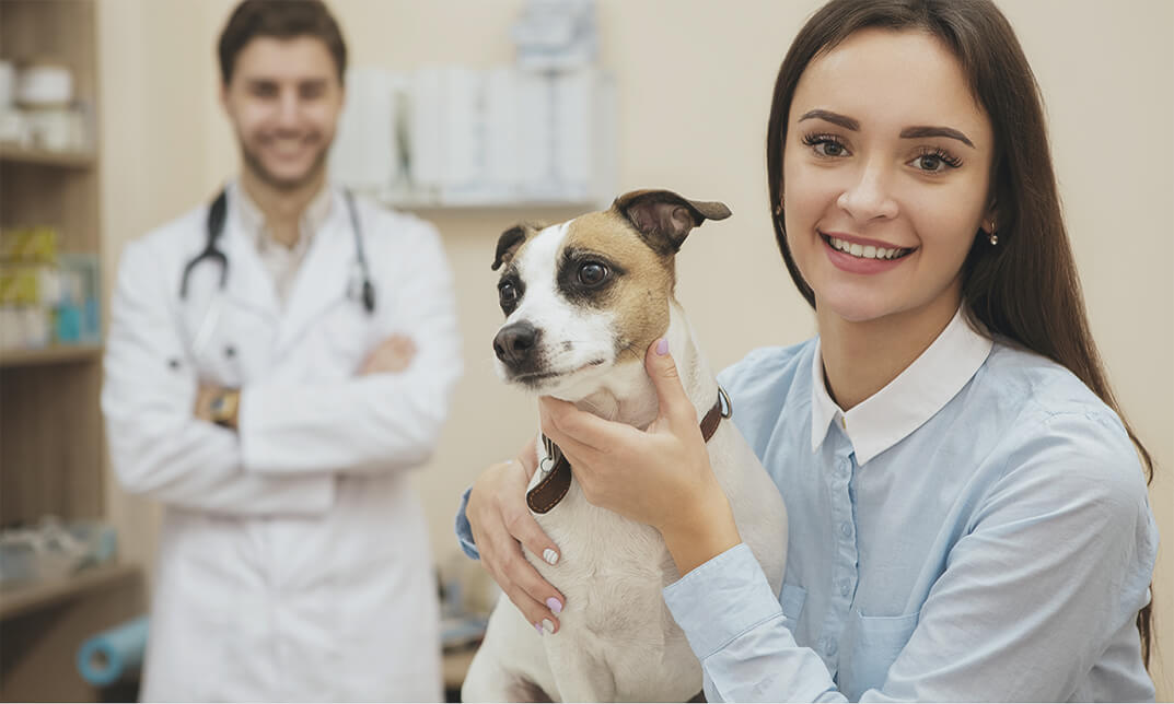 Pet Care 3 Course Bundle