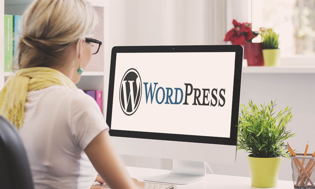 WordPress Optimization Course