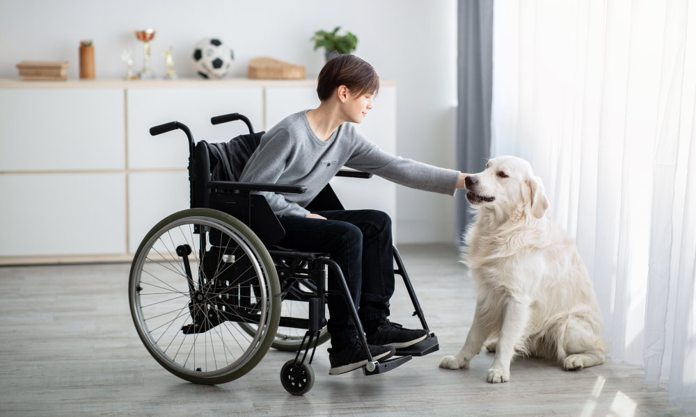 Animal Assisted Therapy Training