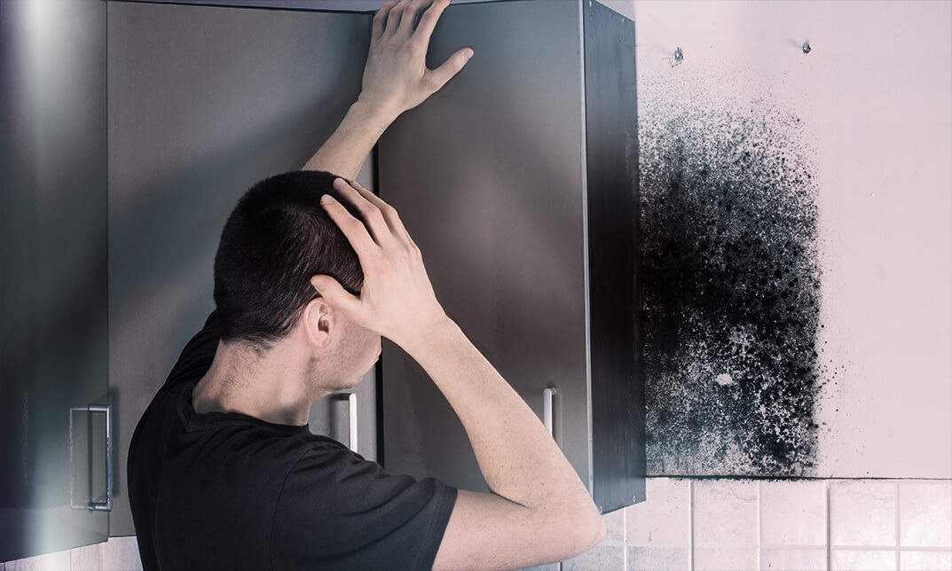 Know about Mould