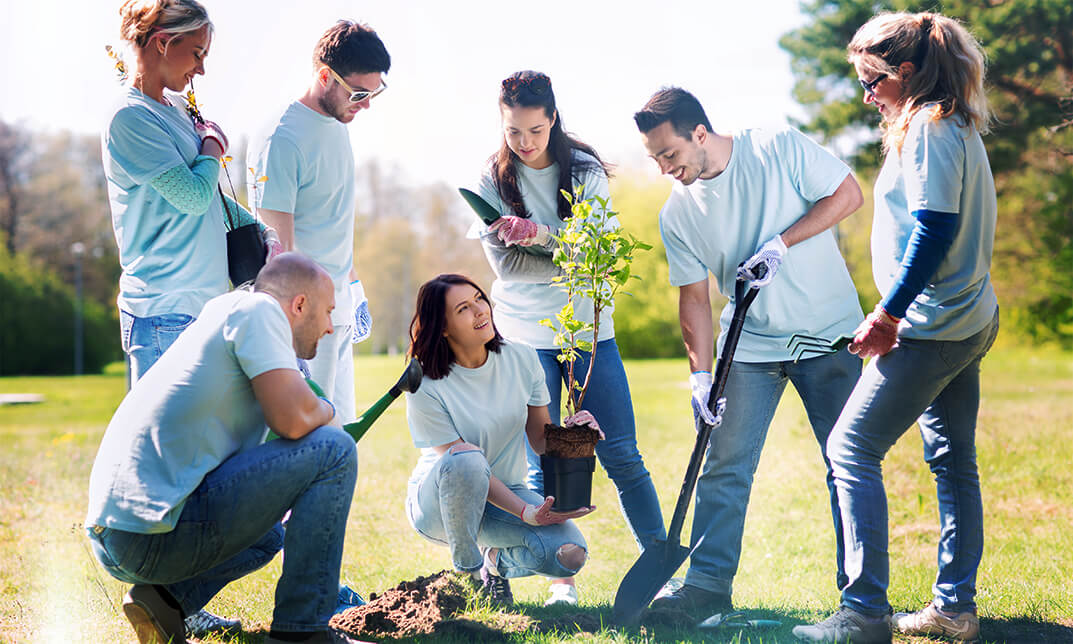 Diploma in Planting